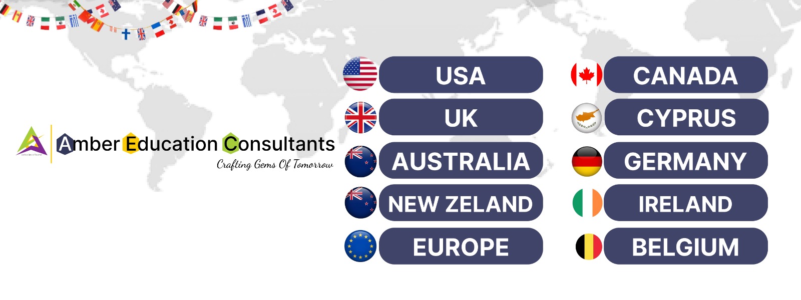 Amber Education Banner